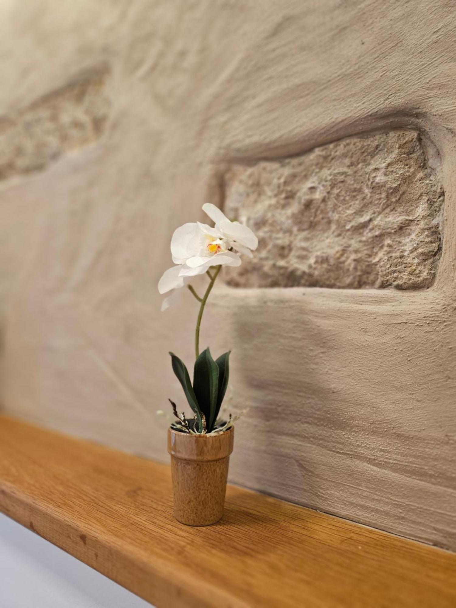 Ferienapartment Wilma Grunsfeld Εξωτερικό φωτογραφία